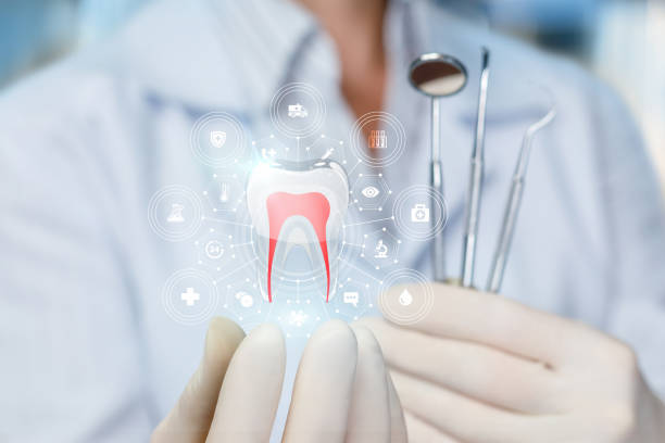 Best Dental Inlays and Onlays  in North Port, FL